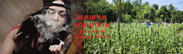 гидра Балахна