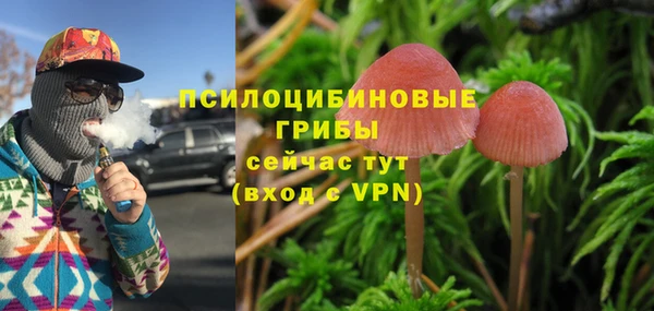 хмурый Балабаново